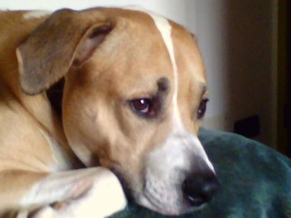 Romeo